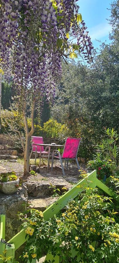 Studio De Charme + Terrasse : Verdon, Lac, Plages Claviers Exterior photo