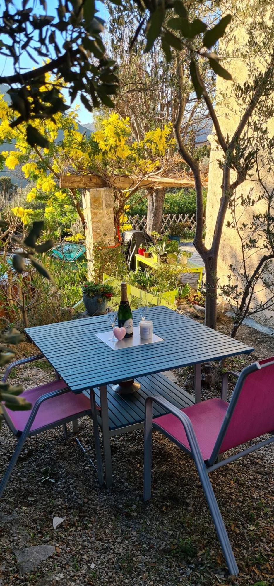 Studio De Charme + Terrasse : Verdon, Lac, Plages Claviers Exterior photo